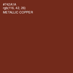 #742A1A - Metallic Copper Color Image