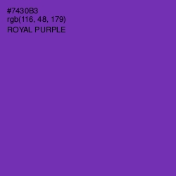 #7430B3 - Royal Purple Color Image