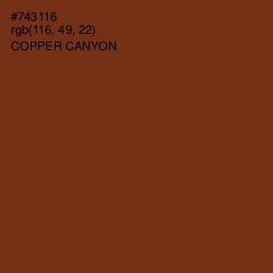 #743116 - Copper Canyon Color Image