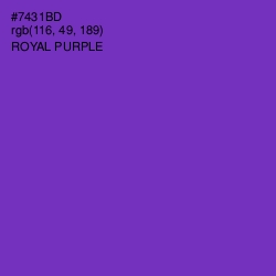 #7431BD - Royal Purple Color Image