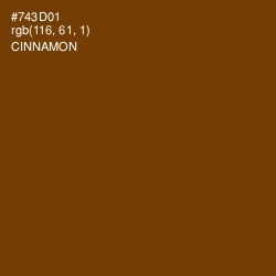 #743D01 - Cinnamon Color Image
