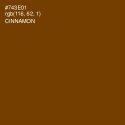 #743E01 - Cinnamon Color Image