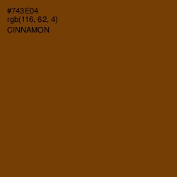 #743E04 - Cinnamon Color Image