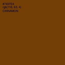 #743F04 - Cinnamon Color Image