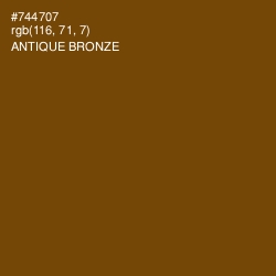 #744707 - Antique Bronze Color Image