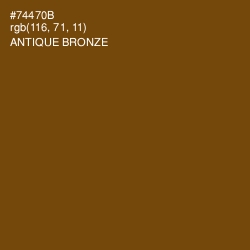#74470B - Antique Bronze Color Image