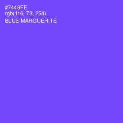 #7449FE - Blue Marguerite Color Image