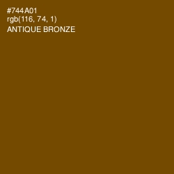 #744A01 - Antique Bronze Color Image