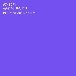 #7450F1 - Blue Marguerite Color Image