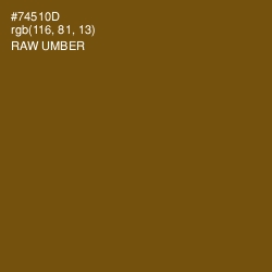 #74510D - Raw Umber Color Image