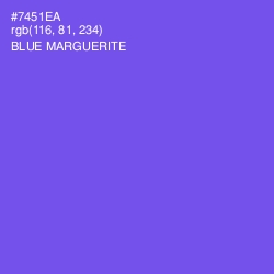 #7451EA - Blue Marguerite Color Image