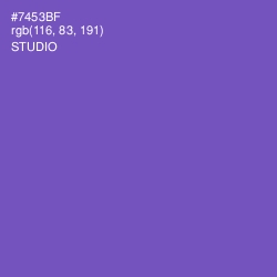 #7453BF - Studio Color Image