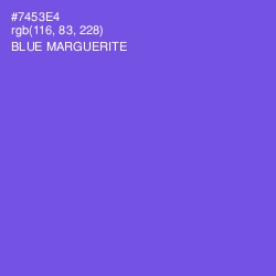 #7453E4 - Blue Marguerite Color Image