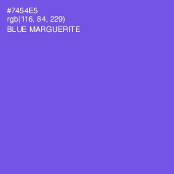 #7454E5 - Blue Marguerite Color Image