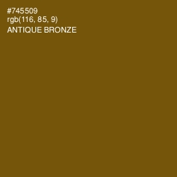 #745509 - Antique Bronze Color Image