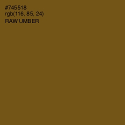 #745518 - Raw Umber Color Image