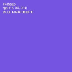 #7455E0 - Blue Marguerite Color Image