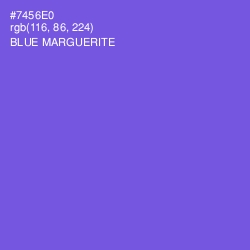 #7456E0 - Blue Marguerite Color Image