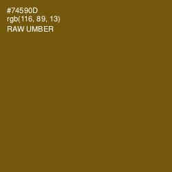 #74590D - Raw Umber Color Image