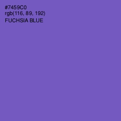 #7459C0 - Fuchsia Blue Color Image