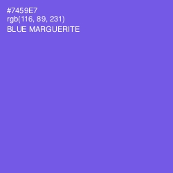 #7459E7 - Blue Marguerite Color Image