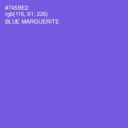 #745BE2 - Blue Marguerite Color Image
