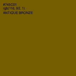 #745C01 - Antique Bronze Color Image