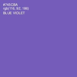 #745CBA - Blue Violet Color Image