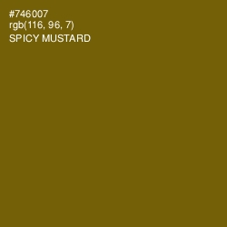 #746007 - Spicy Mustard Color Image