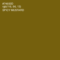 #74600D - Spicy Mustard Color Image