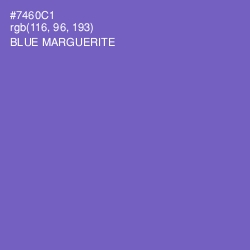 #7460C1 - Blue Marguerite Color Image