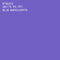 #7460C5 - Blue Marguerite Color Image