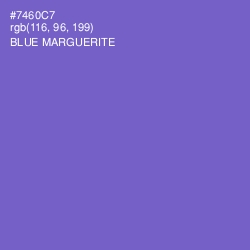 #7460C7 - Blue Marguerite Color Image