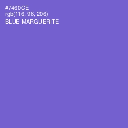 #7460CE - Blue Marguerite Color Image