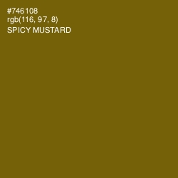 #746108 - Spicy Mustard Color Image