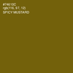 #74610C - Spicy Mustard Color Image