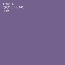 #74618D - Rum Color Image