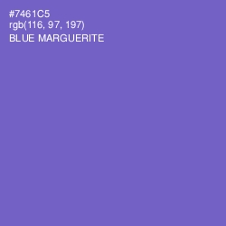 #7461C5 - Blue Marguerite Color Image