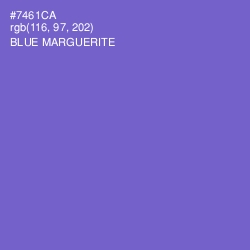 #7461CA - Blue Marguerite Color Image