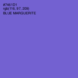 #7461D1 - Blue Marguerite Color Image