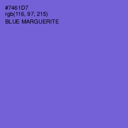 #7461D7 - Blue Marguerite Color Image