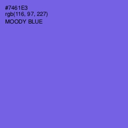 #7461E3 - Moody Blue Color Image