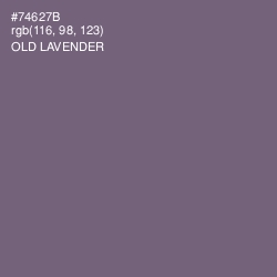 #74627B - Old Lavender Color Image