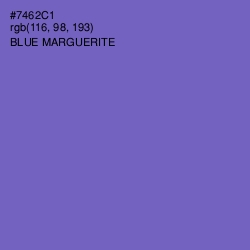 #7462C1 - Blue Marguerite Color Image