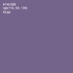 #74638B - Rum Color Image