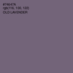 #74647A - Old Lavender Color Image