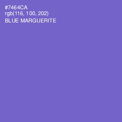 #7464CA - Blue Marguerite Color Image