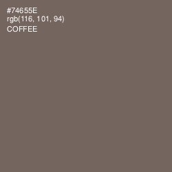 #74655E - Coffee Color Image