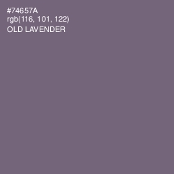 #74657A - Old Lavender Color Image