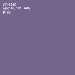 #74658C - Rum Color Image
